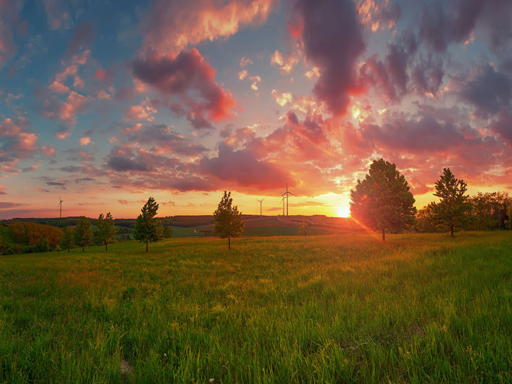 A wind farm at sunset with trees dotting the hillside as wind turbines stand in the distance