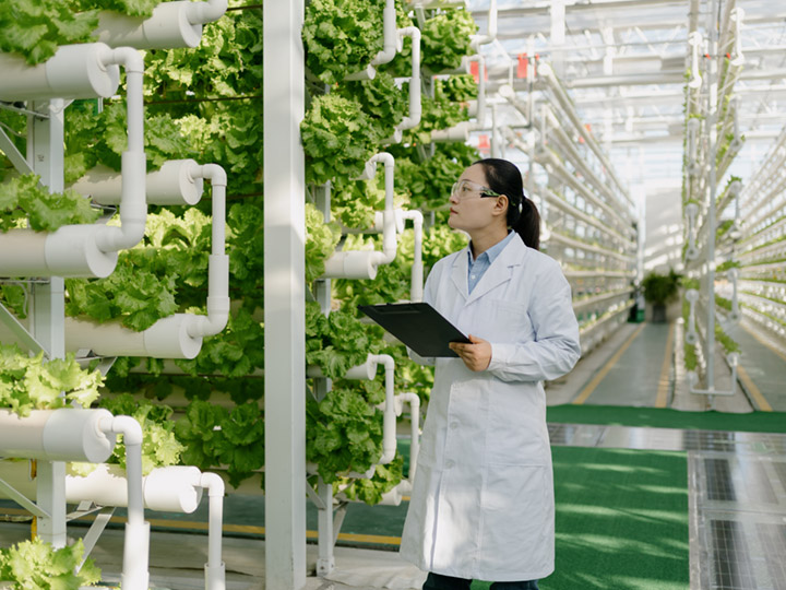 woman in laboratory whites inspecting a hydroponic farming system